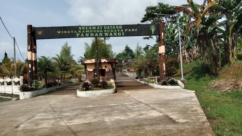 Lokasi Wisata Kampung Budaya Padi Pandan Wangi