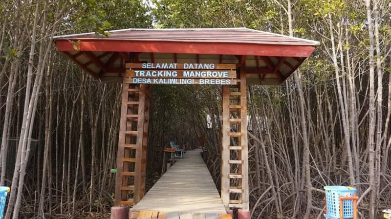 Welcome To Mangrove Brebes Pandansari