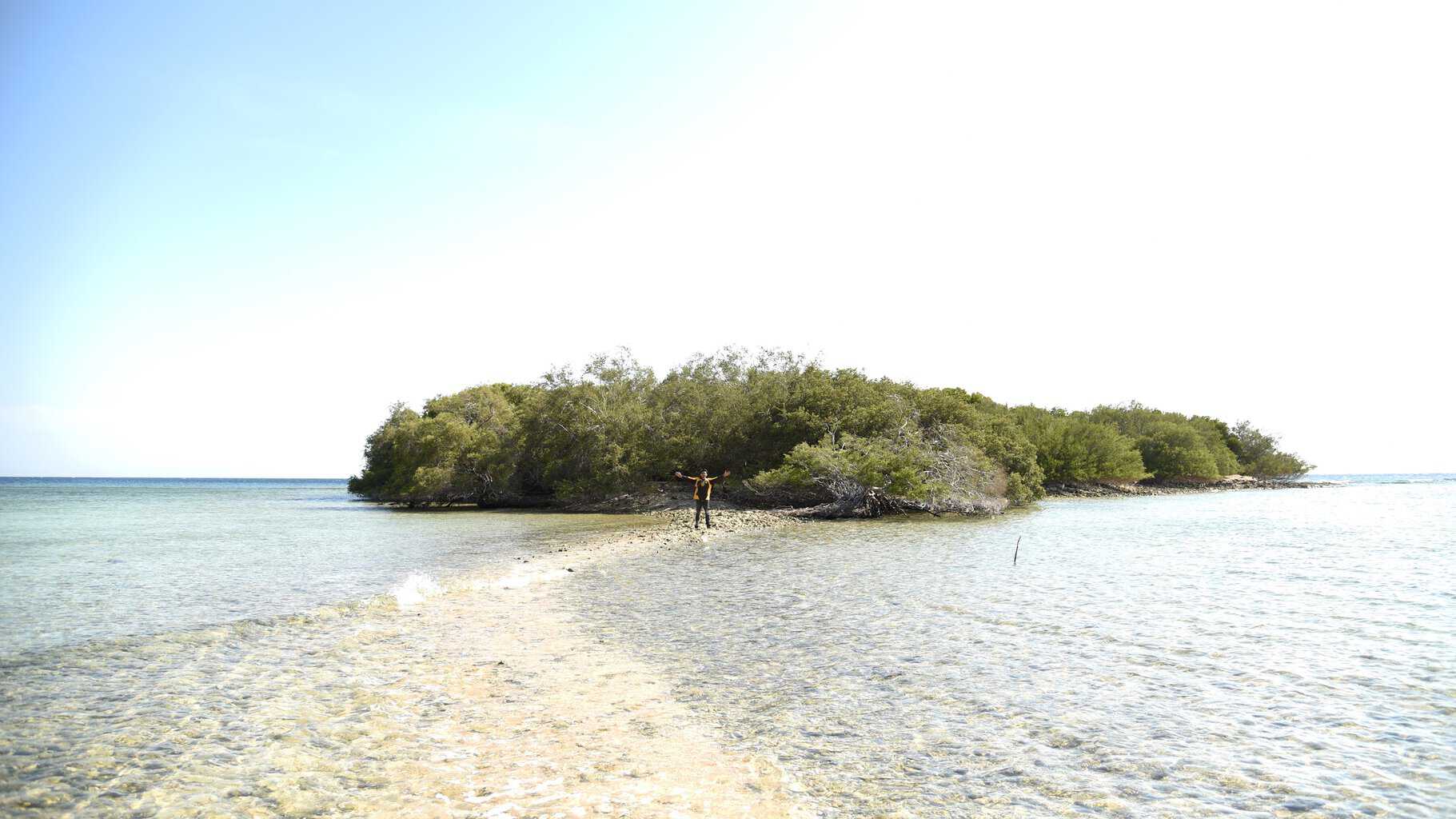 mangrove santigi pantai balanan