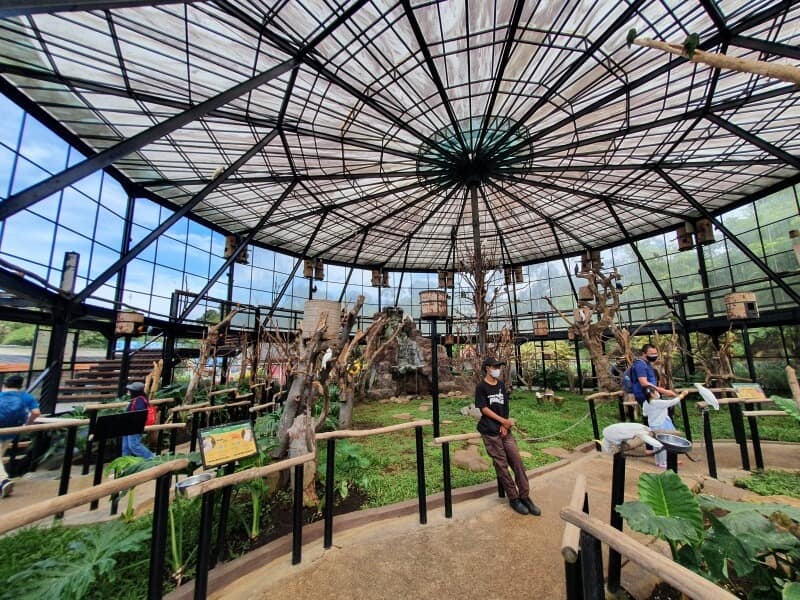 Curated visual reference: Visual Reference: Lembang Park Zoo Kebun Binatang Super Lengkap Di Bandung