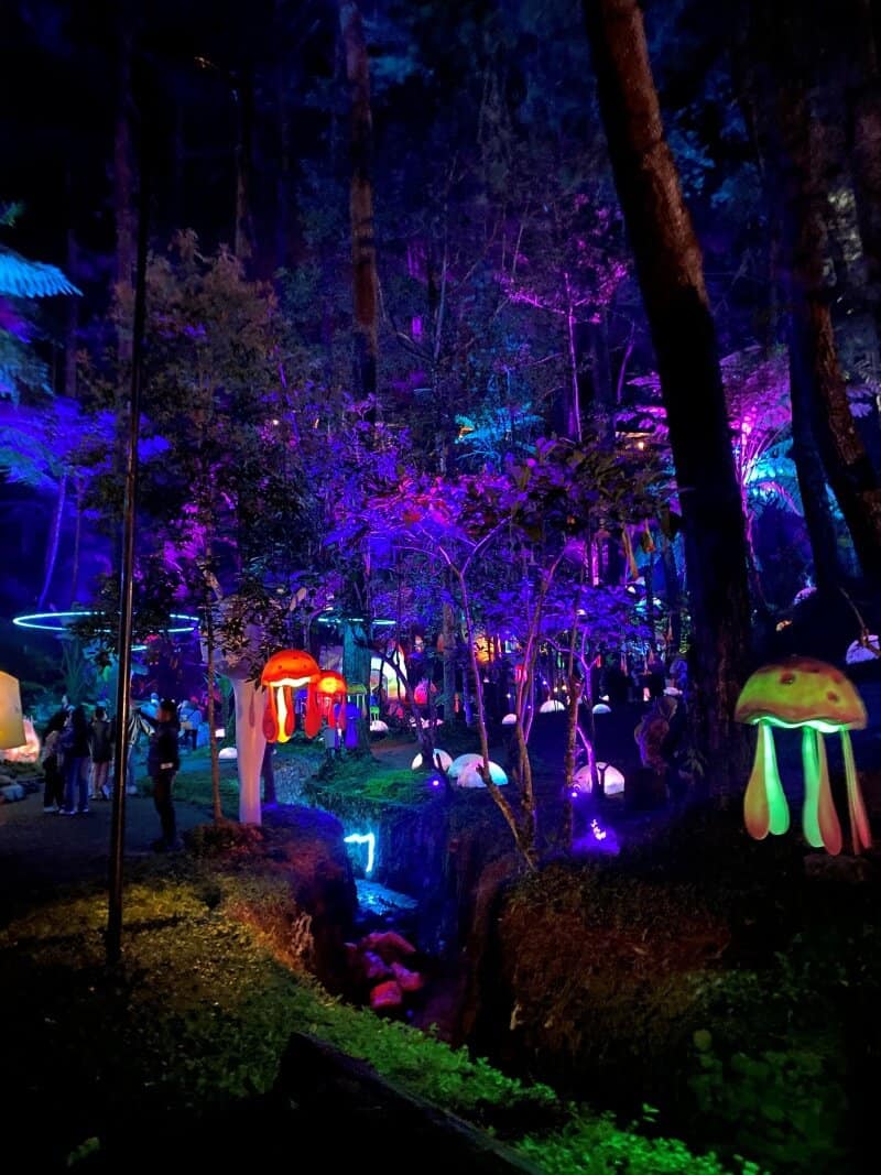 Hutan Mycelia, Wisata Lembang Yang Viral di Garfika Cikole ...