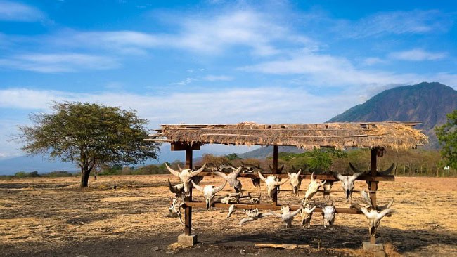Taman nasional baluran