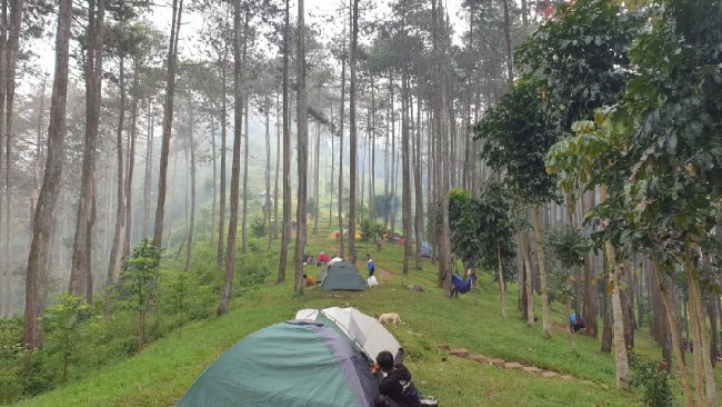 Batu kuda manglayang