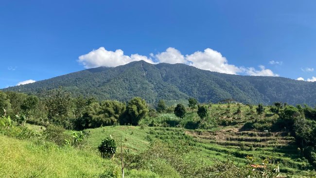 Gunung halimun