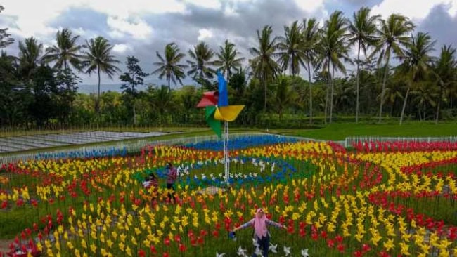 Taman bunga dewari