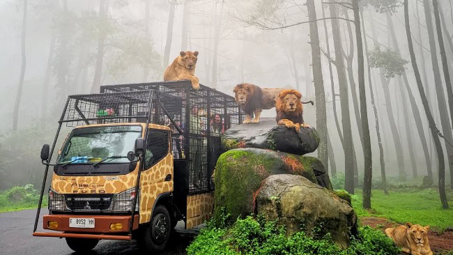 Taman safari prigen