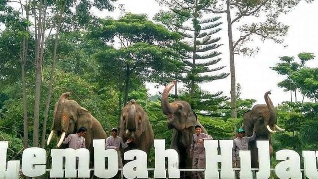 Taman wisata lembah hijau