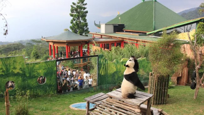 Tur seru di taman safari bogor