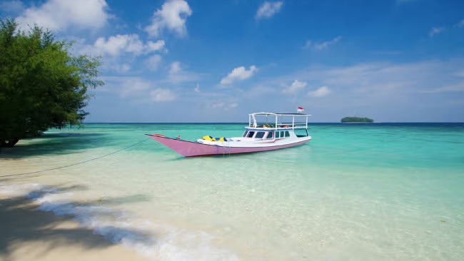 Mengenal karimum jawa