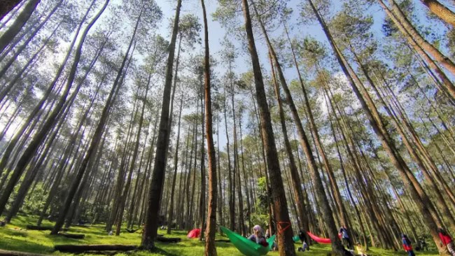 Sejarah wisata batu kuda manglayang