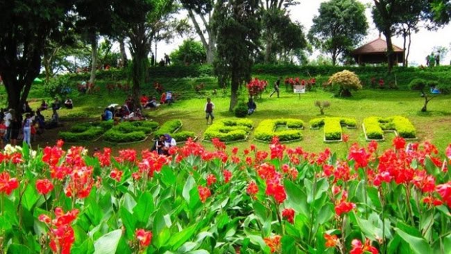 Taman bunga cihideung