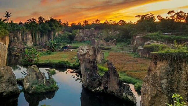 Tebing koja
