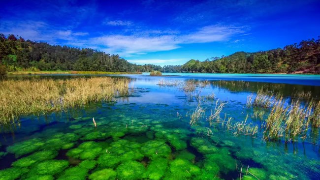 Telaga warna