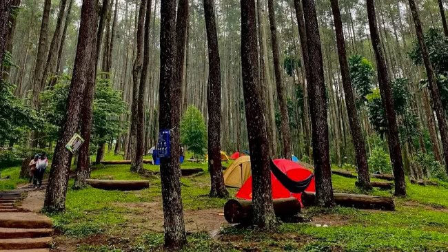 Tips dan fasilitas harga sewa tenda di batu kuda
