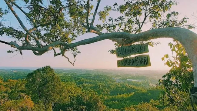 Wisata alam bukit kukus