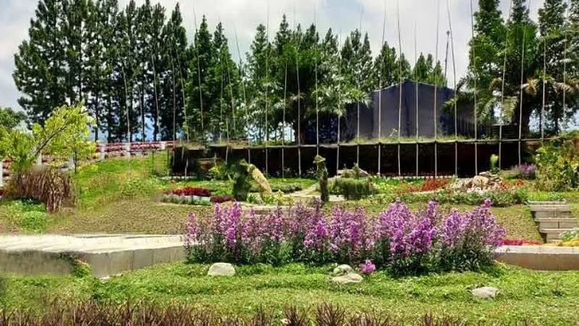 Wisata taman anggrek