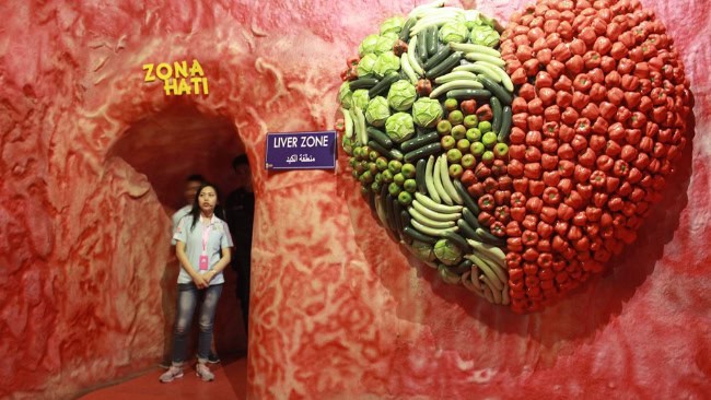 Aktivitas seru di the bagong adventure