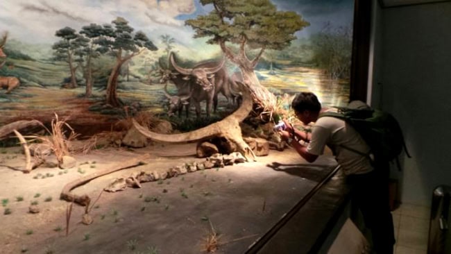 Daya tarik museum purbakala sangiran