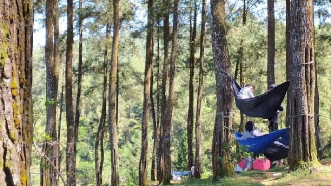 Daya tarik wisata darmacaang