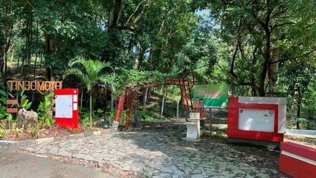 Jam buka dan harga tiket hutan wisata tinjomoyo