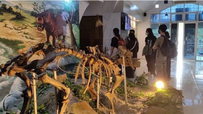 Jam operasional dan harga tiket museum purbalaka sangiran