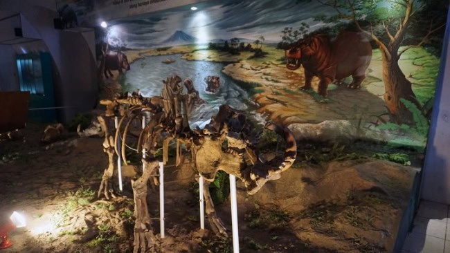 Lokasi dan cara menuju museum purbakala sangiran