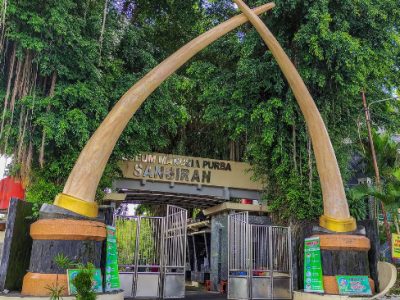 Museum purbakala sangiran simpan jejak manusia purba yang luar biasa