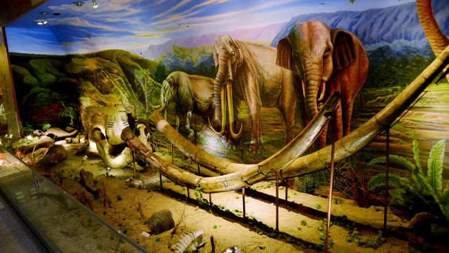 Museum purbakala sangiran, sragen