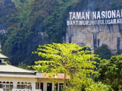 Aktivitas Seru di Bantimurung Bulusaraung National Park yang Bikin Takjub