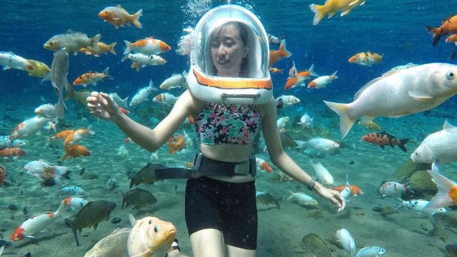 Daya Tarik Umbul Ponggok Klaten