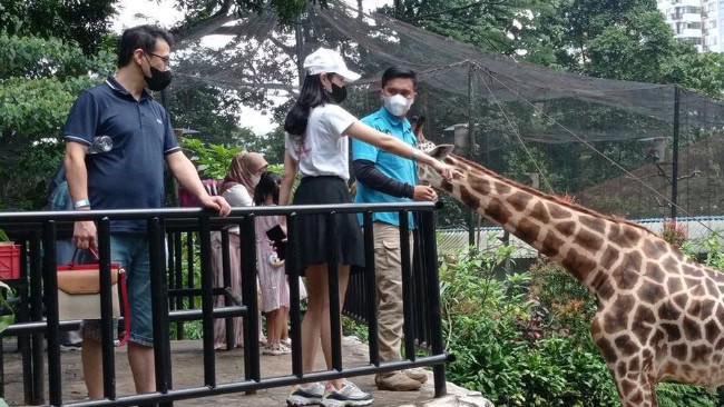 Harga Tiket Kebun Binatang Bandung