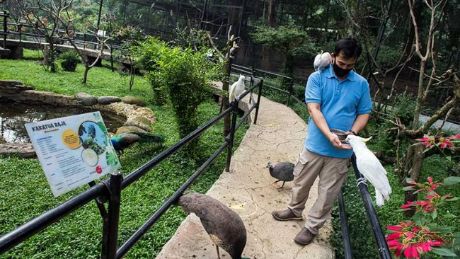 Jam Operasional Kebun Binatang Bandung