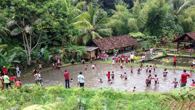 Keindahan Desa Wisata Kembang Arum