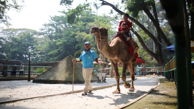 Lokasi Kebun Binatang Bandung