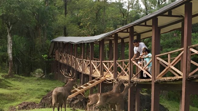 Taman Wisata Penangkaran Rusa