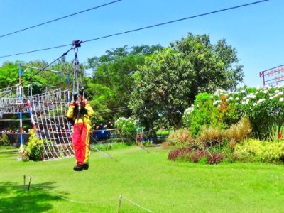 Wisata Alas Prambon Ternyata Punya Wahana Edukasi Super Lengkap
