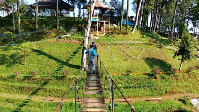 Fasilitas dan Aktivitas di Wisata Pagilaran