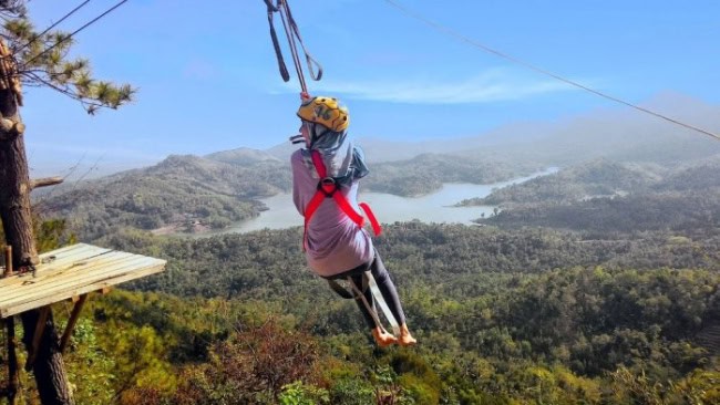 Flying Fox Gunung Kelud