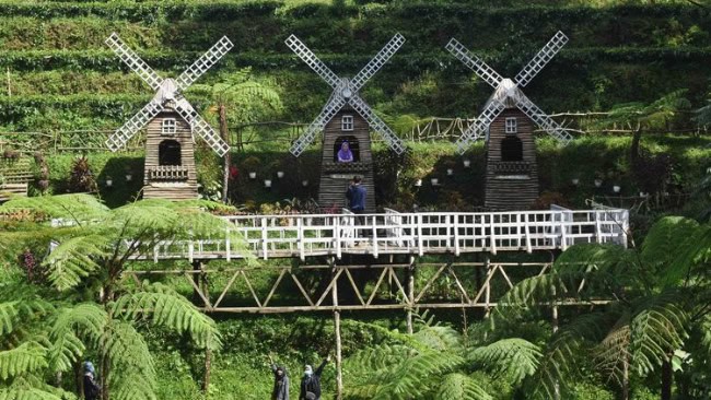 Harga Tiket Masuk Wisata Pagilaran