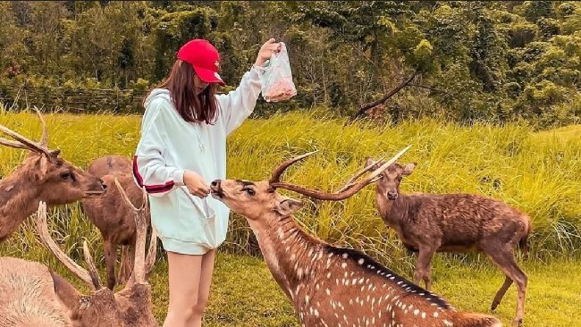 Penangkaran Rusa Kertamanah