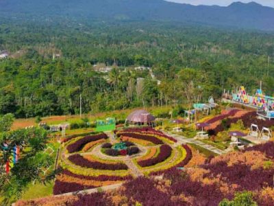 Pesona Wisata Taman Langit Tangkeban, Spot Favorit Pecinta Alam