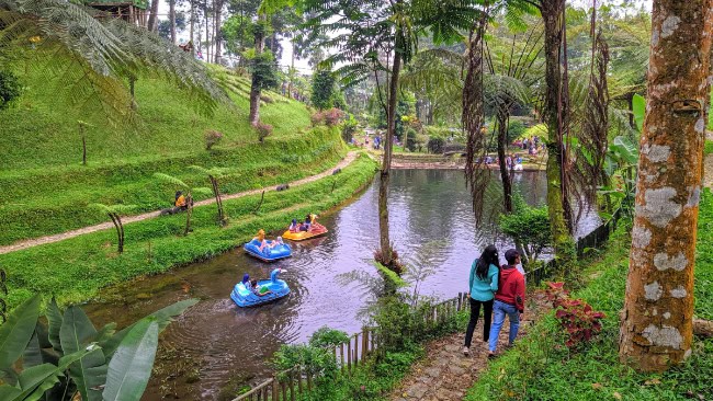 Sejarah Kebun Teh Pagilaran