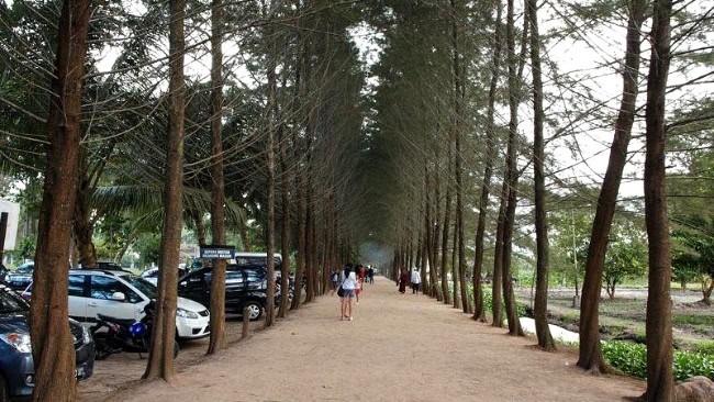 Bangka Botanical Garden (BBG)