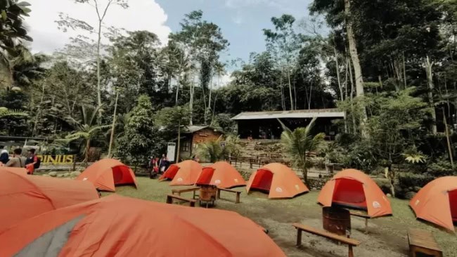 Daya Tarik Pinus Camp Songgon