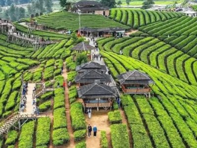 Daya Tarik Wisata Wayang Windu yang Bikin Liburan Makin Berkesan