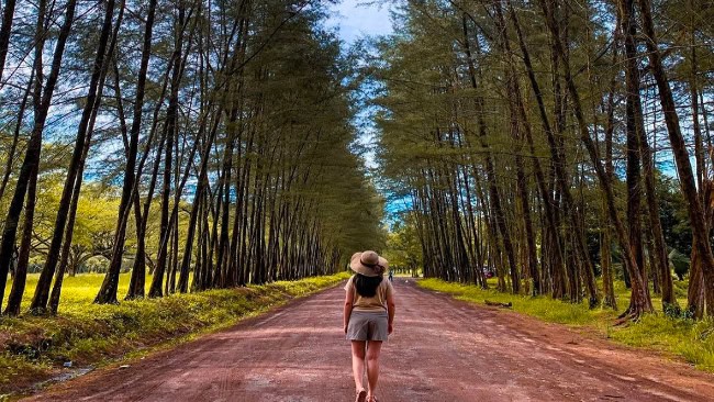 Harga Tiket Masuk Botanical Garden