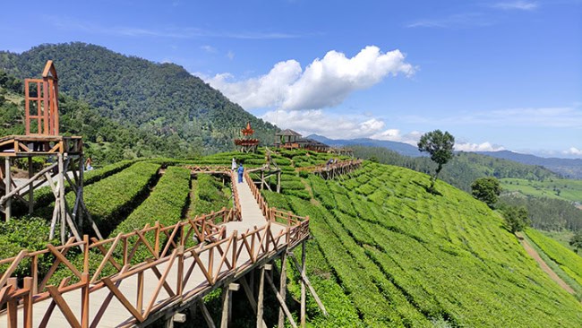 Harga Tiket dan Jam Buka Wisata Wayang Windu