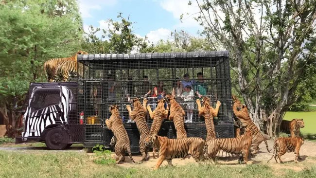 Safari World Bangkok