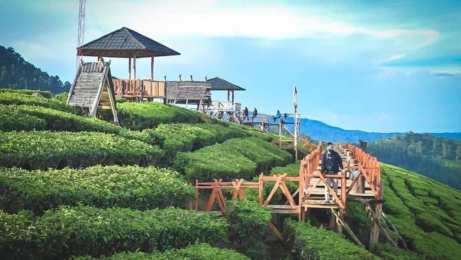 Sekilas Tentang Wayang Windu Panenjoan