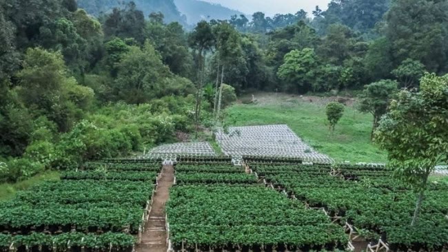 Tentang Desa Wisata Alamendah